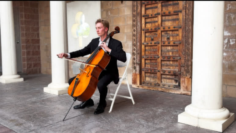 Professional cellist performing at an elegant event